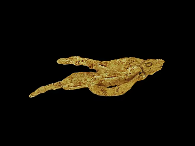 Golden Biological Sculpture With Intricate Details On Black Background 3d model