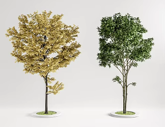Modern Tree Landscape Tree Combination 3d model