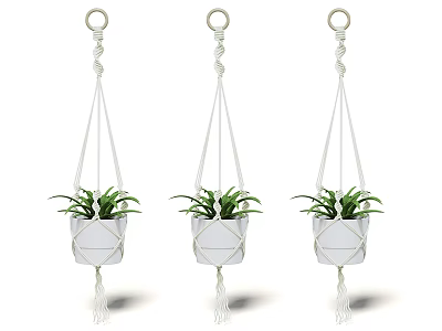 Stylish Hanging Macramé Planters with Lush Green Plants in White Pots 3d model