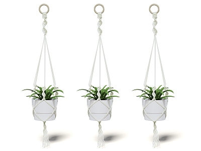 Modern hanging basket potted plant model