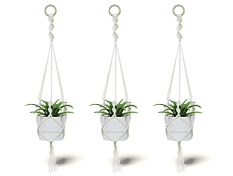 Modern hanging basket potted plant 3d model