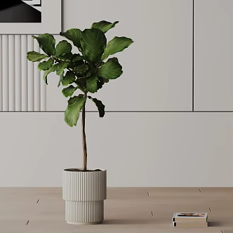 Modern Potted Plant 3d model