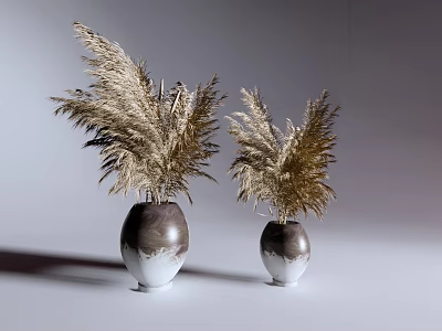Two Brown And White Gradient Vases With Golden Pampas Grass On Minimalist Gray Background 3d model