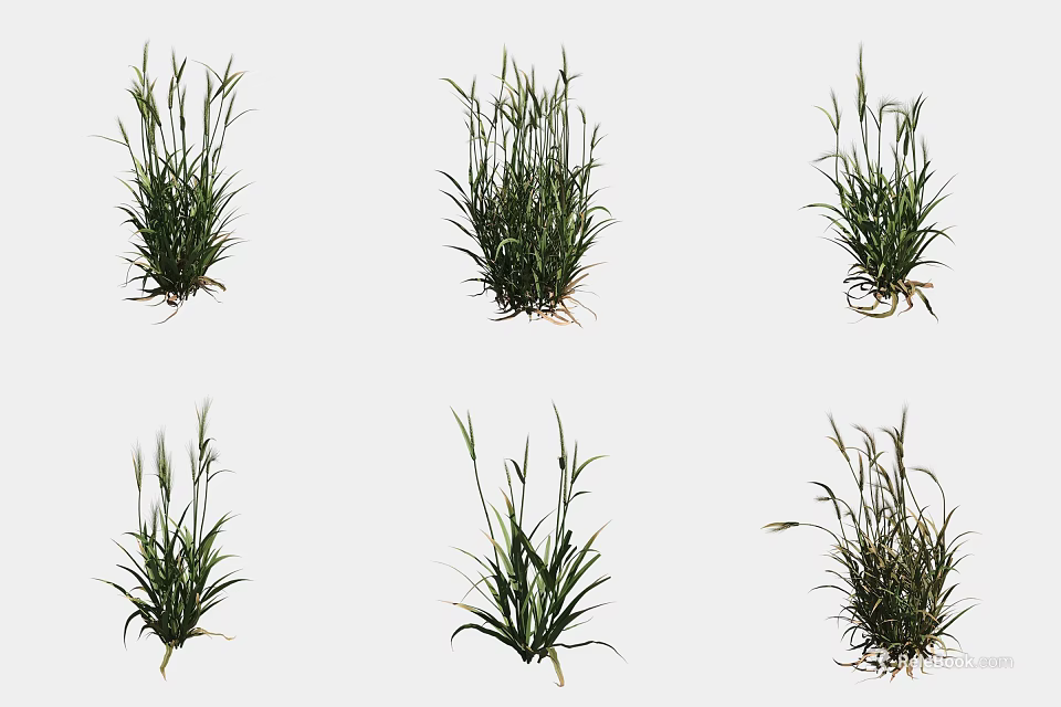 Various Healthy Green Crop Seedlings Displaying Different Growth Forms And Herb Plant Features 3d model 