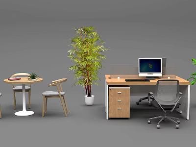Modern Office Workspace With Desk Computer Chair Small Table And Plant 3d model
