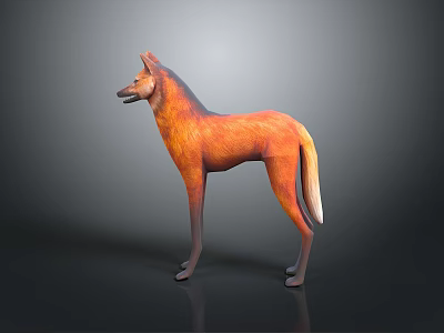 Realistic Orange Red Fox Animal Character 3D Model In Standing Pose With Gray Background 3d model