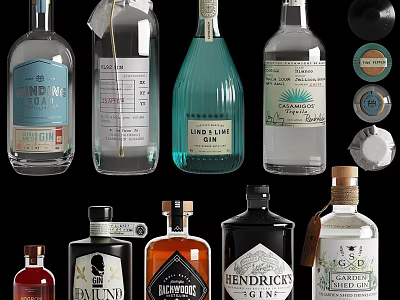 Assorted Gin Bottles and Glasses with Various Colors and Unique Designs 3d model