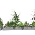 Garden Landscape Design With Concrete Planters Various Green Plants And Colorful Flowers