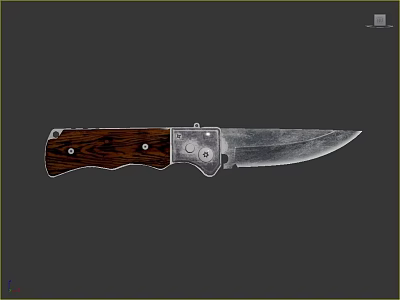 Tactical Outdoor Knife With Rustic Wooden Handle And Sharp Metal Blade 3d model