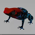 Vibrant Red Head Blue Body Frog With Intricate Black Patterns 3d model