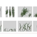 Green Decorative Vines With Hanging And Climbing Growth Styles For Indoor Use