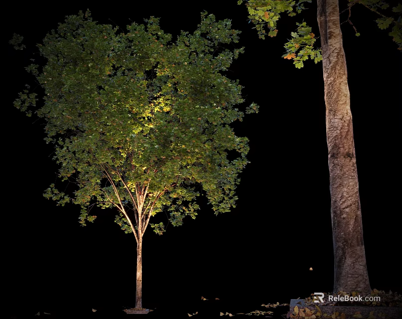 Small And Large Illuminated Arbor Trees With Lush Green Leaves And Thick Trunks At Night 3d model 