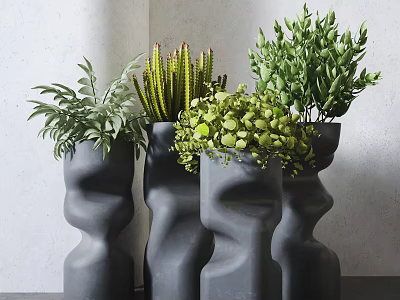 Potted Plants In Modern Textured Planters With Various Lush Green Foliage For Indoor Decor 3d model