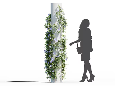 Climbing Vine With Purple Flowers On White Pillar Near Woman Silhouette 3d model