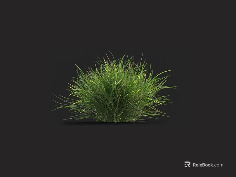 Lush Green Grass Plant with Fresh Leaves Growing Against Dark Background 3d model 