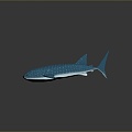 whale cartoon whale mammal marine mammal marine animal fish freshwater fish marine fish 3d model