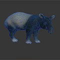 Tapir With Gray And Black Body Standing On Shiny Surface 3D Rendering 3d model
