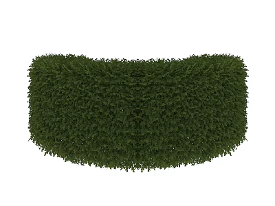 Well Trimmed Lush Green Curved Shrub For Garden Landscaping Design 3d model