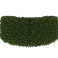 Well Trimmed Lush Green Curved Shrub For Garden Landscaping Design
