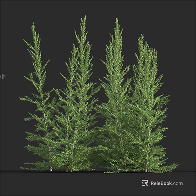 Tall Green Trees With Lush Dense Foliage In Natural Growth 3d model 