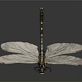 Close up dragonfly with transparent wings black and white striped body and red eyes