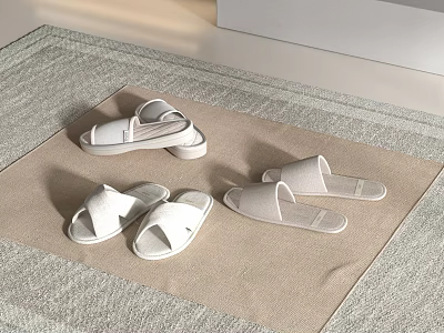 Comfortable Indoor Slippers With Soft Material And Simple Design On Carpet 3d model