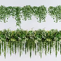 Lush Hanging Basket Plants With Green Vines And Decorative Leaves For Home Decor