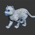 White Kitten With Blue Eyes And Light Spots Standing On Black Reflective Surface