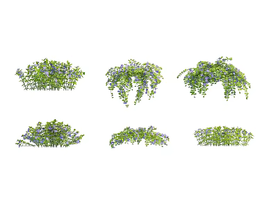 Various Hanging Green Plants with Blue Flowers for Decorative Use 3d model