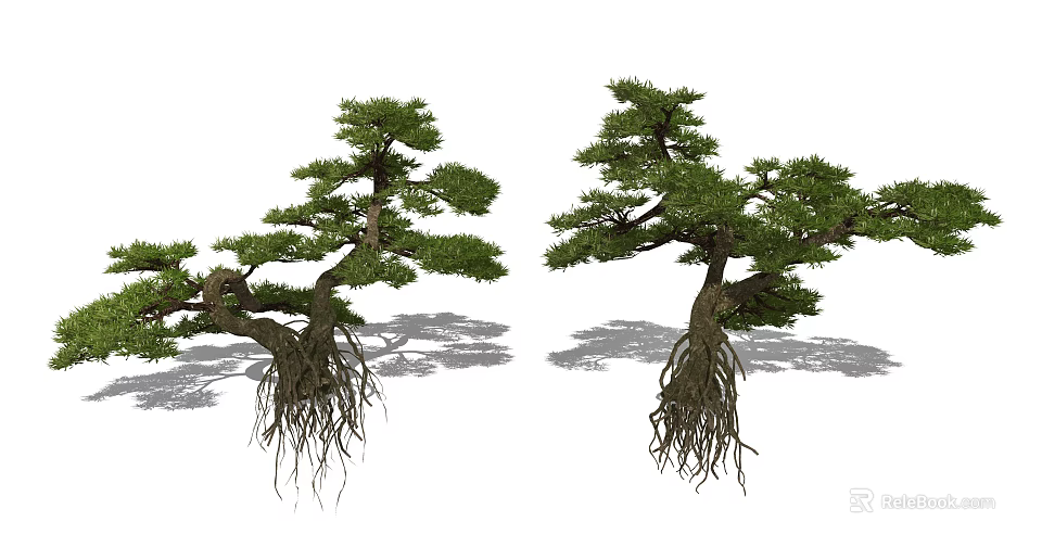Ornamental Tall Trees with Exposed Roots Curved Branches and Lush Foliage in Garden 3d model 
