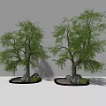 Green Leafy Arbor with Thick Trunks Stones and Small Shrubs on Circular Base