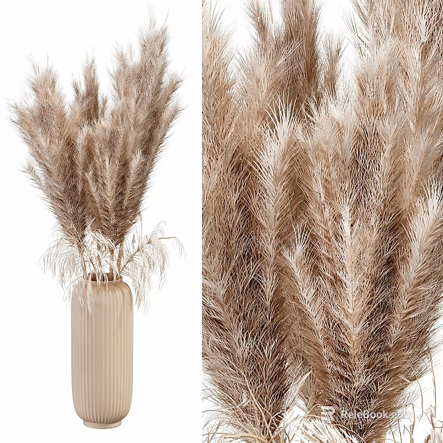 Natural Decorative Dried Pampas Grass Arrangement in Beige Vase Home Ornament Set 3d model 