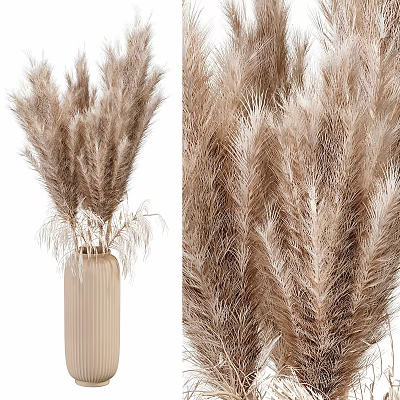 Natural Decorative Dried Pampas Grass Arrangement in Beige Vase Home Ornament Set 3d model