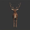 Brown Deer Sculpture With Large Antlers On Black Background And Reflection