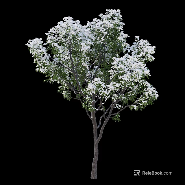 Lush Flowering Tree with Abundant White Blossoms and Vibrant Green Leaves 3d model 