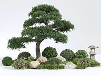 pine shrub combination 3d model