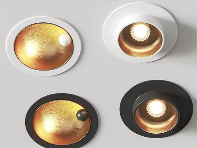 Modern Home Downlights And Spotlights With White Black And Gold Design 3d model