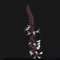 Elegant White Flowers In Ceramic Vase With Burgundy Stem And Green Leaves