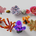 Colorful Coral Polyps Display Various Shapes And Vibrant Marine Features