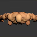 Muscular Male 3D Model Figure Standing With Orange Color And Human Anatomy