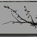 Graceful Tree With Pink Flowers Green Leaves And Delicate Branches In Bloom