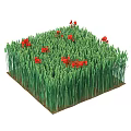 Beautiful Natural Arrangement of Golden Wheat Ears with Red Poppy Flowers in Square Decorative