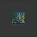 Stunning Aquarium with Vibrant Red Fish Green Aquatic Plants Rocks and Blue Water Background