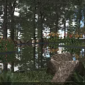 Scenic Garden View With Tall Trees Pond Reflections Large Rocks And Colorful Flowers