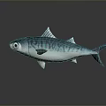 Blue And White Striped Fish 3D Rendered Aquatic Animal On Dark Background With Reflection