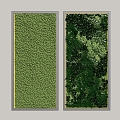 Green Plant Wall Grassland Green Plant Wall Plant Wall Moss Wall Moss Green Plant Wall Grassland 3d model