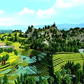 Picturesque Mountain Landscape with Lush Rice Terraces Green Trees Blue Sky and White Clouds