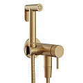 Modern Gold Handheld Shower Head with Flexible Hose and Wall Mount