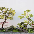 Pine Tree Styling Tree Landscape Stone Micro Terrain Landscape Tree 3d model