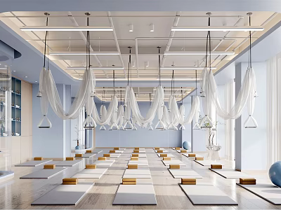 Bright Yoga Fitness Studio With Aligned Mats Hanging Curtains And Serene Space 3d model